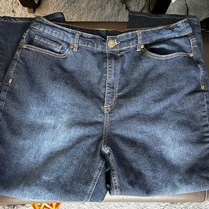 Christopher and Banks jeans.  Size 14 short